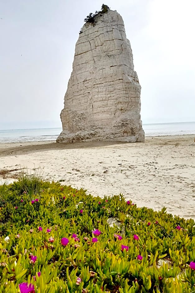 Incanto di luna B&b Family Rooms