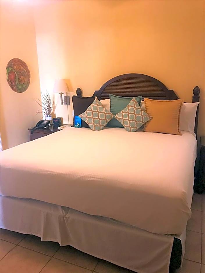 Windsong on the Reef