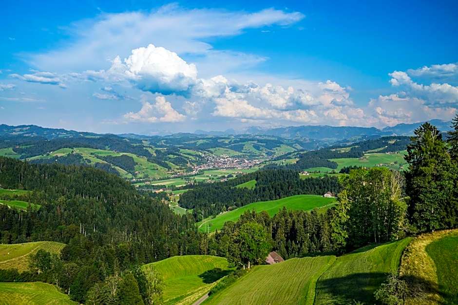 Boutique Hotel Moosegg