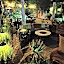 Hacienda Las Amantes
