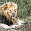 Kwandwe Private Game Reserve - Uplands Homestead