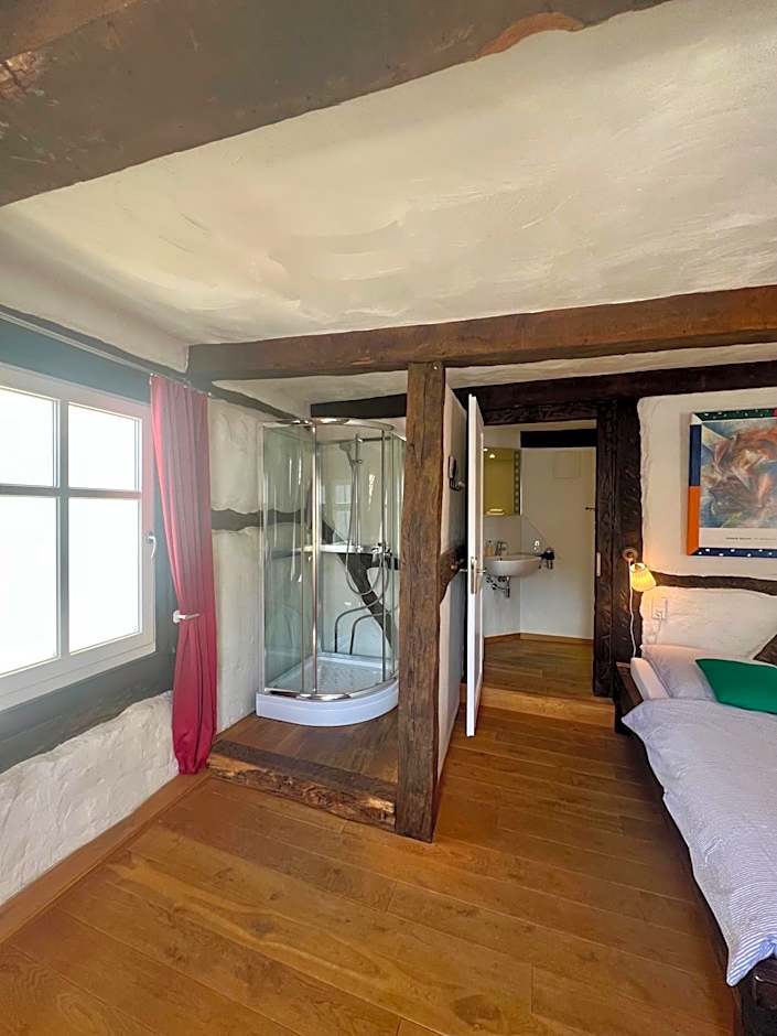 Hotel Pemü