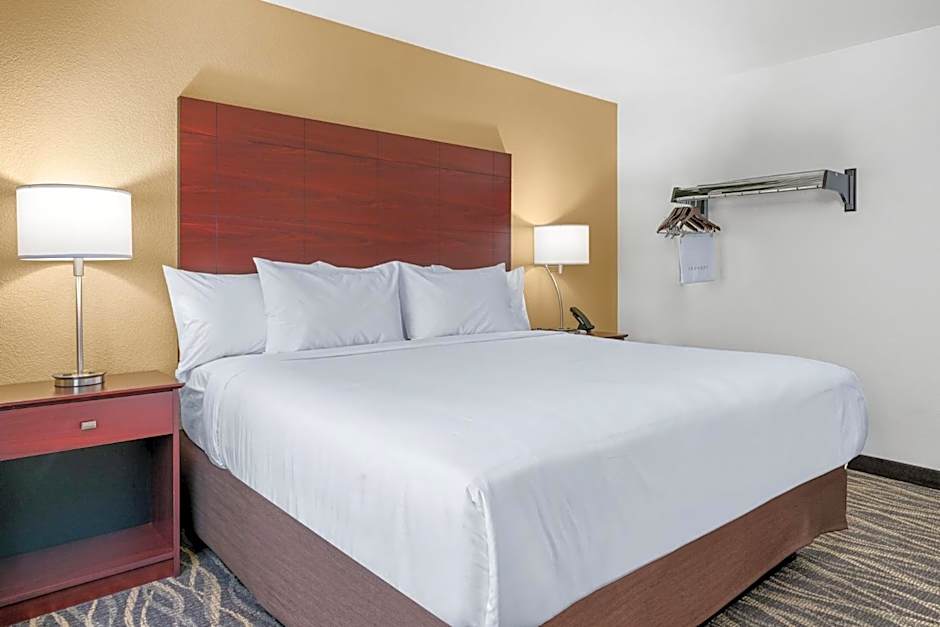 Photo 1 of 14 of One-Bedroom Suite