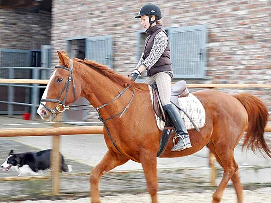 Hotel-Restaurant Rotes Einhorn Düren *** Superior