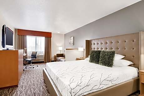 King Room with Roll-In Shower - Mobility Access/Non-Smoking