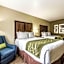 Comfort Inn North Dallas Near the Galleria