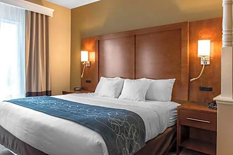 Comfort Suites Scranton near Montage Mountain