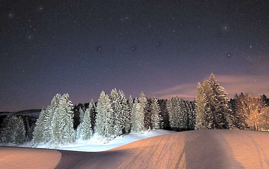 Meltar Boutique Hotel Golf & SPA