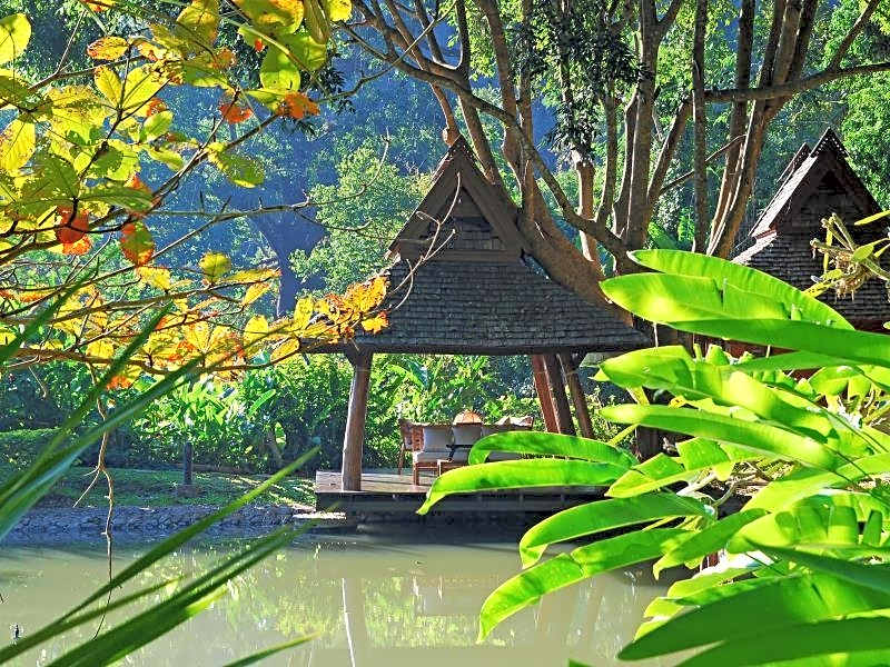 Vanilla Hill (Hill Lodge)