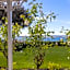 Bellevue Boutique Lodge