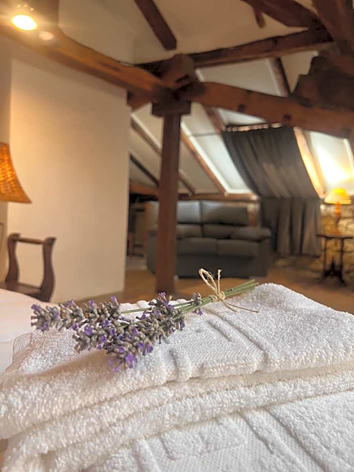 Casa Rural Basiver - Suite Basiver