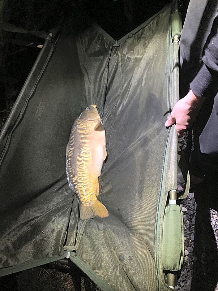 Lakeside Fishing Lodges