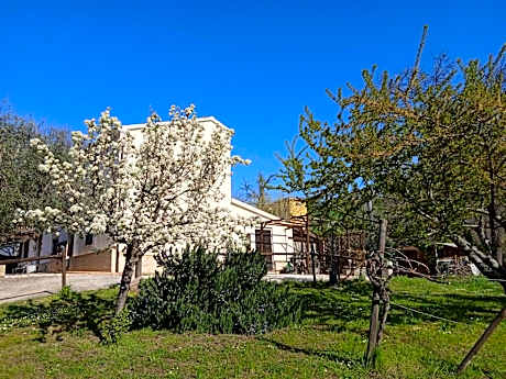 Sotto l'Ulivo