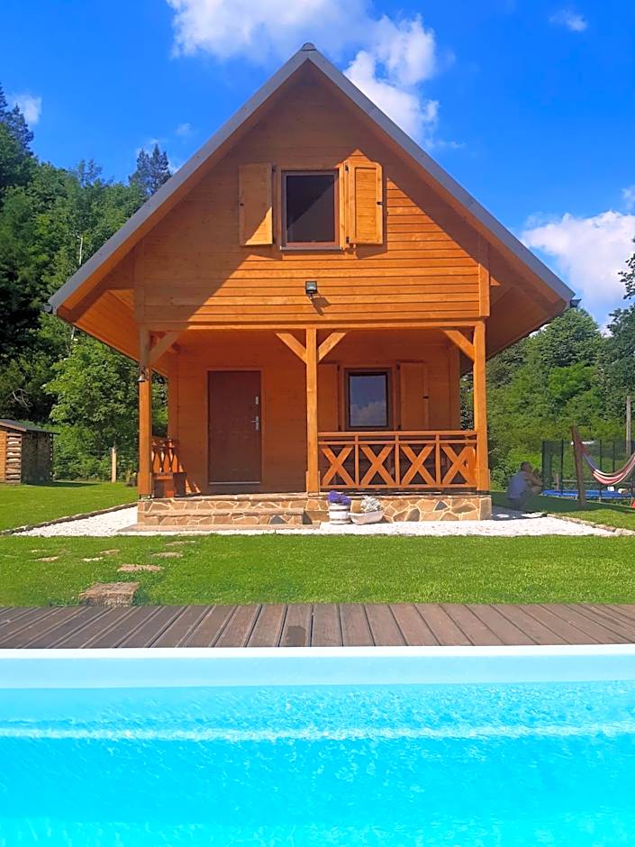 Domek Skowronek z basenem