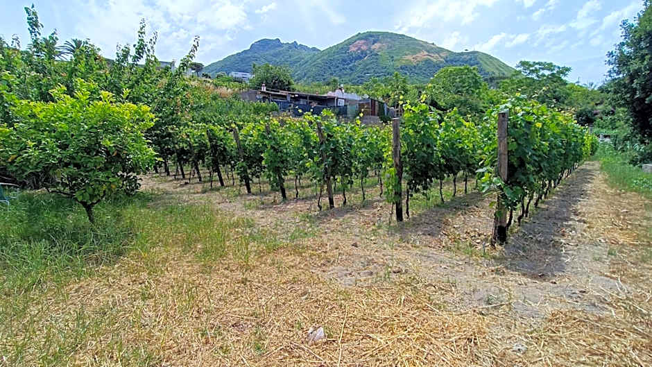 Residence Villa Cristina