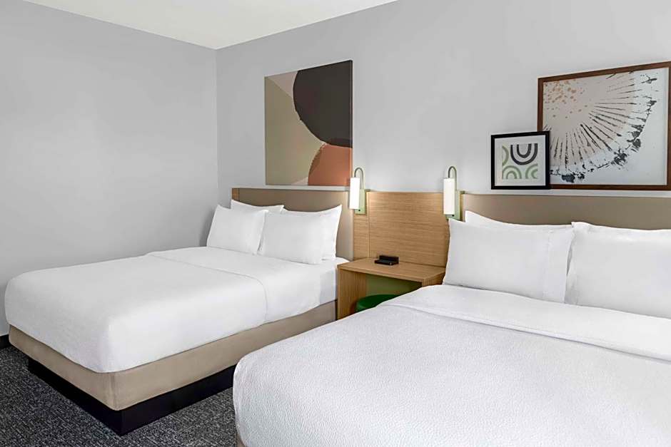 Spark by Hilton Lansing