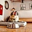 Petit Mesón (Pet Friendly Hotel)