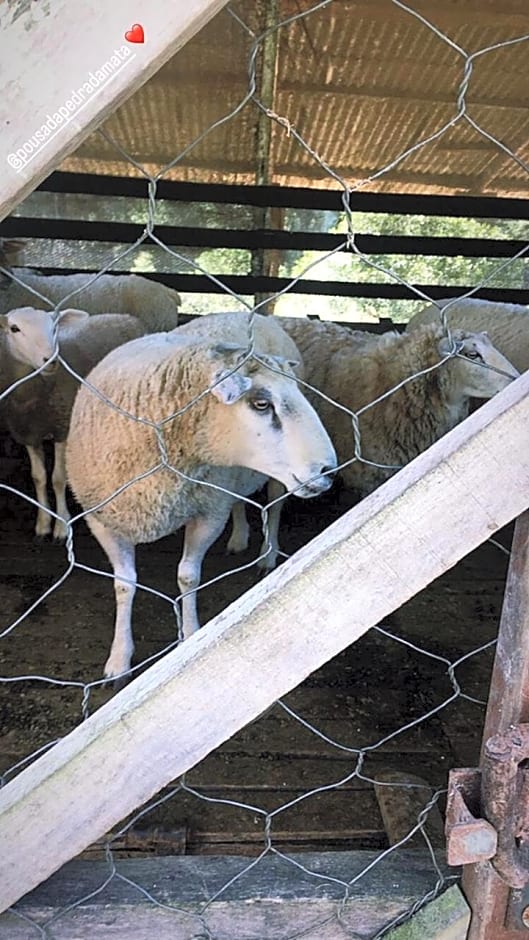 Pousada Pedra da Mata chales na montanha