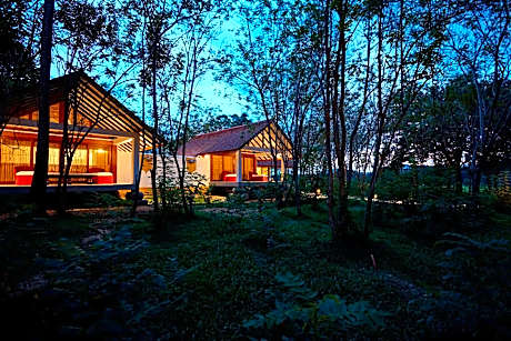 Wel Vidana – Forest View