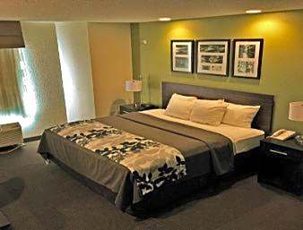 1 King Bed Studio Suite Non-Smoking