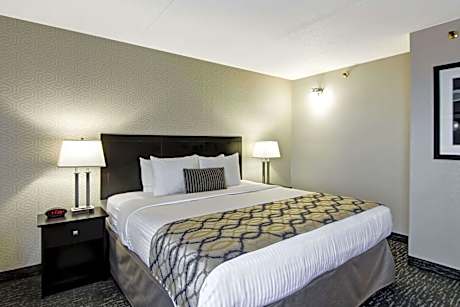 1 Queen Bed, Suite, Nonsmoking