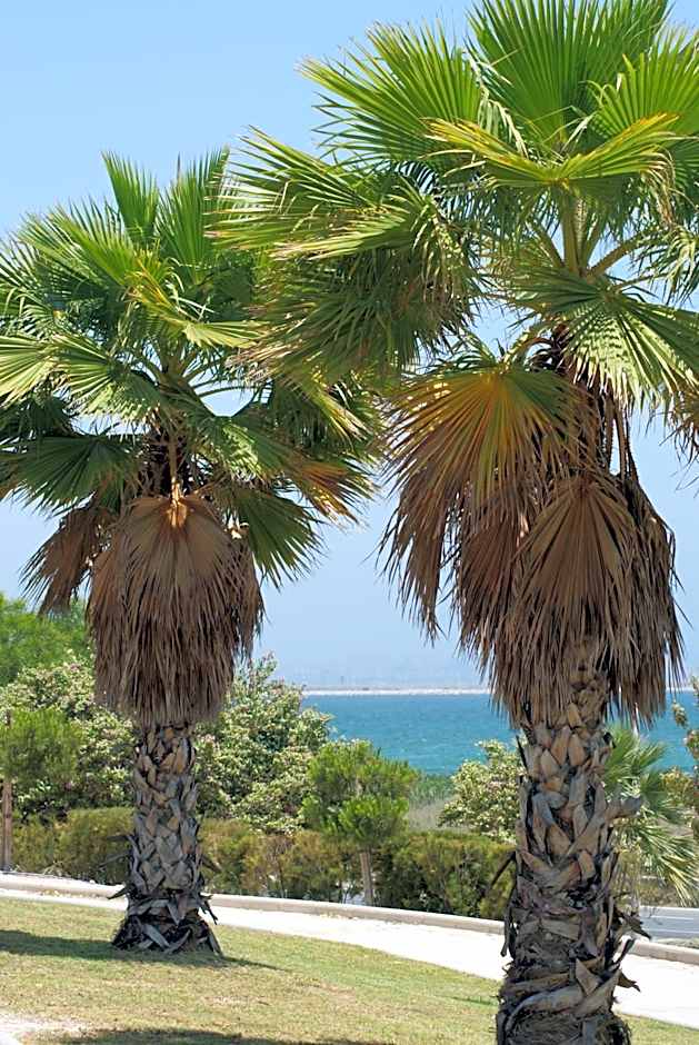 Ibis Budget Alicante