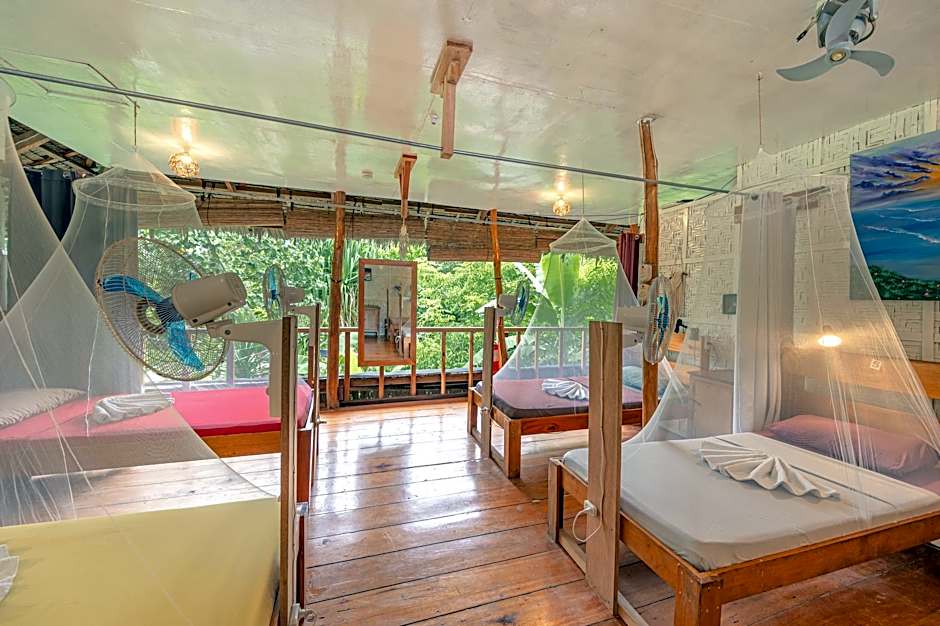 Photo 1 of 11 of Bed in 6 Bed Mixed Dormitory
