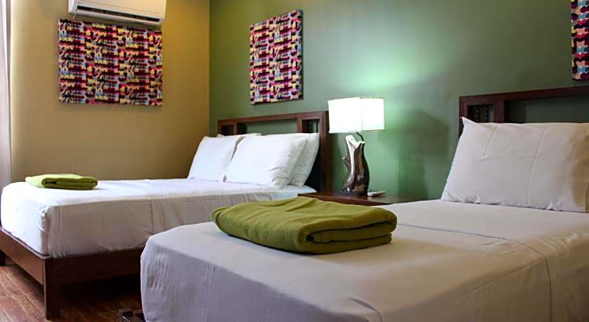 Purple Tree Bed and Breakfast