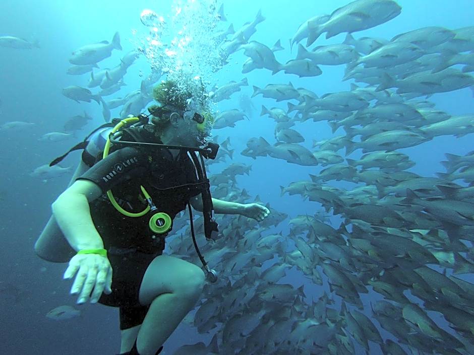 My Hostel in Dahab - Dive center