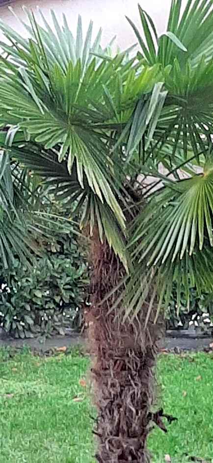 Hotel Martinez Grenay