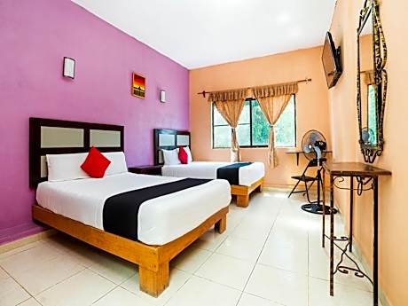 Standard Two Beds With View