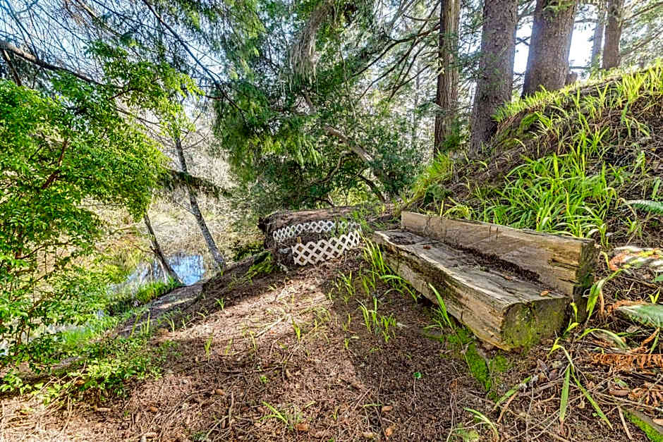 Cozy Coos Bay Retreat with On-Site Creek and Fishing!