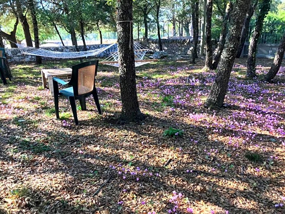 Villa Venus Woods – Martina Franca, OK