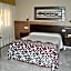 Hotel Albero