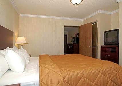 1 King Bed, Suite, Nonsmoking, Promotional