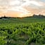 Tenuta Di Monaciano