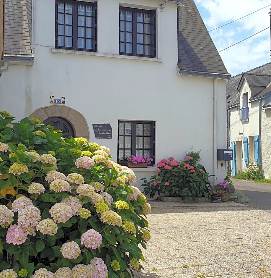 Marie la Fée Endormie, 'breizh brunch' & balnéo