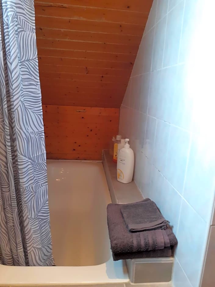 Au Bosquet, chambre et salle de bains avec petit déjeuner à 600 m du centre dans un cadre calme et verdoyant
