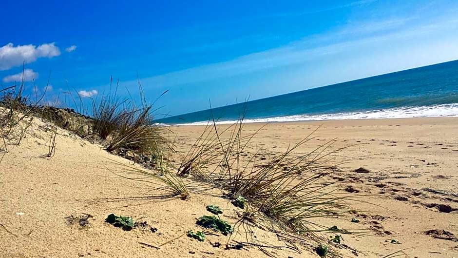 Hostel A Casa da Árvore