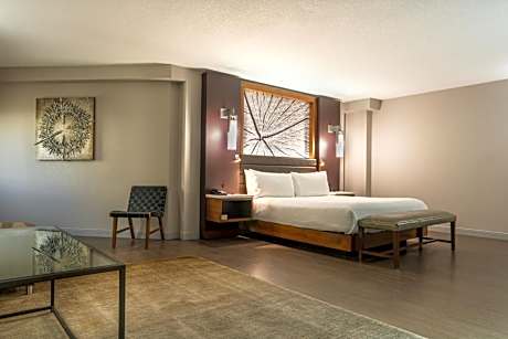 One-Bedroom Executive King Suite with Sofa Bed