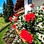 Zeitlos Apartments - Gerlos