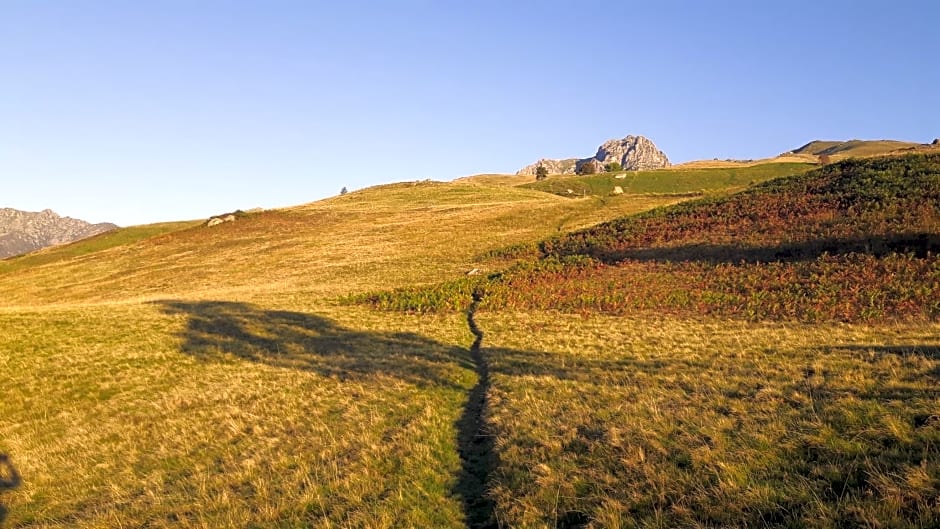 B&B La Coccinella Biologico