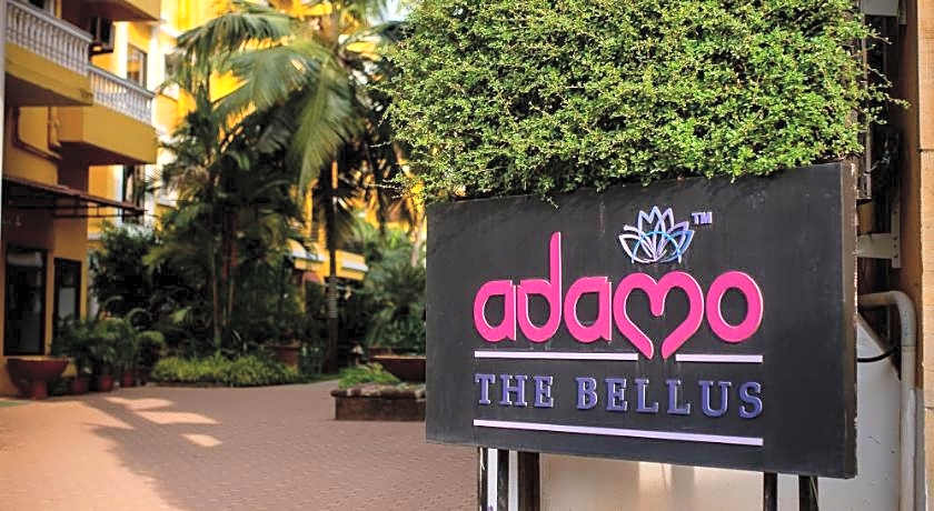 Adamo The Bellus