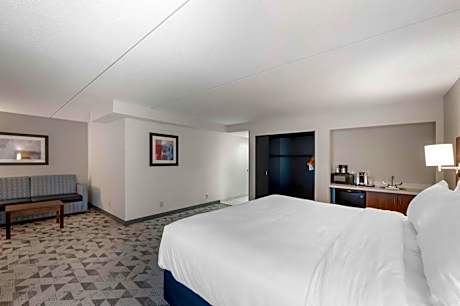 King Suite with Sofa Bed