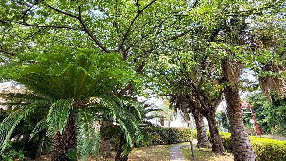 La vista Kannonzaki Terrace