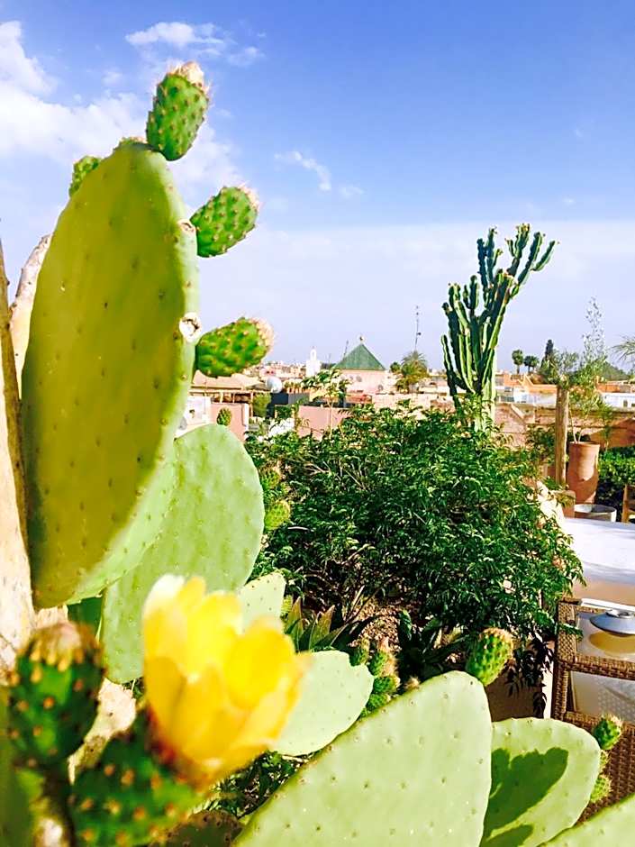 Riad 144