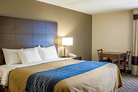 King Room - Non-Smoking