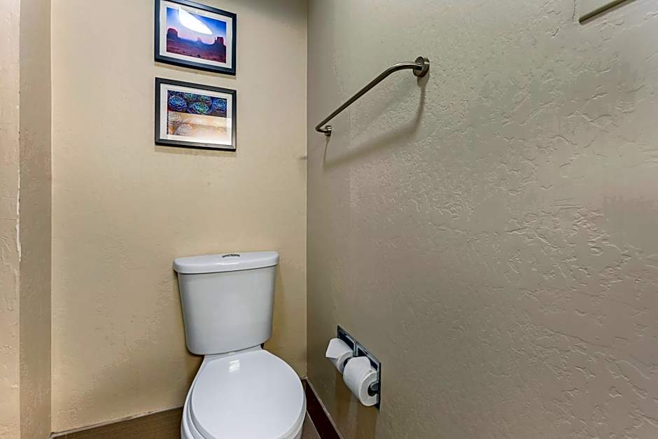 Comfort Inn & Suites Surprise Near Sun City West