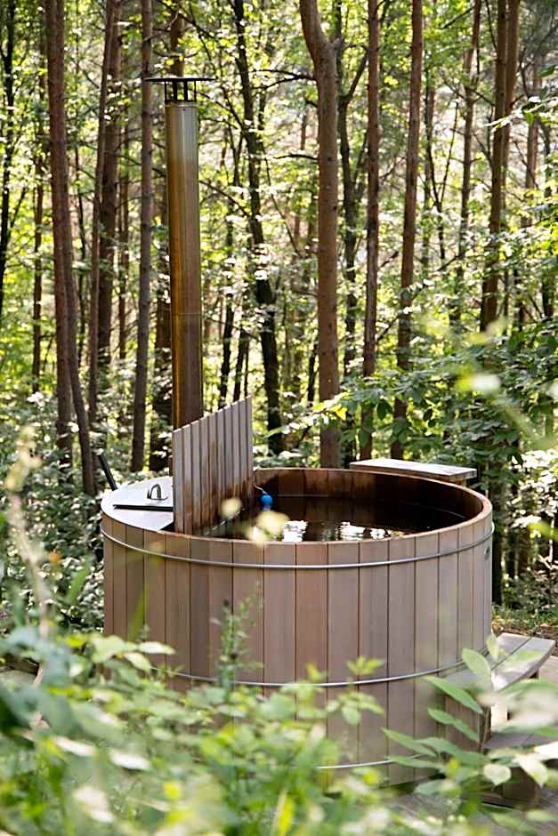 Les Grangeonnes, gîtes nature, piscine, bain nordique, sauna pour accueil familiale ou de groupe