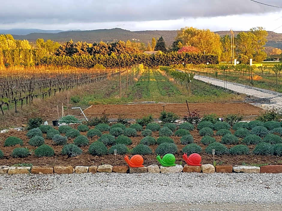 Chambres & Tables d'hôtes Moulin de Lavon